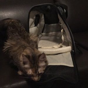 Small pet carrier